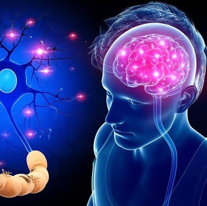 ~/Content/Images/News/Neurodegenerativne_small.jpg