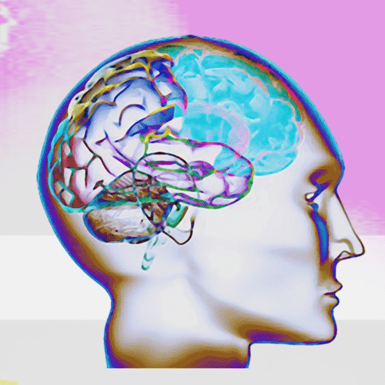 ~/Content/Images/News/minijaturaZadar.png