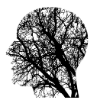 ~/Content/Images/News/minijaturaaa.png